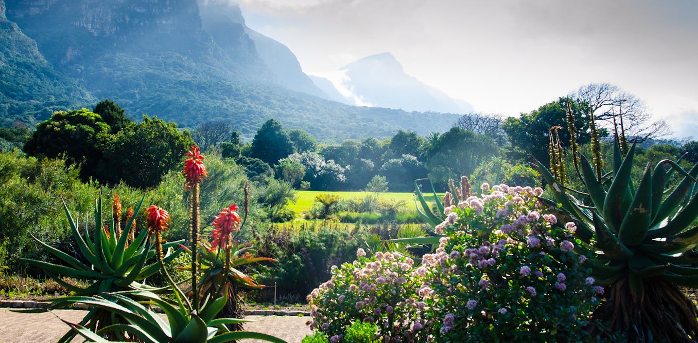 How the colonial earlier of botanical gardens will probably be put to good use