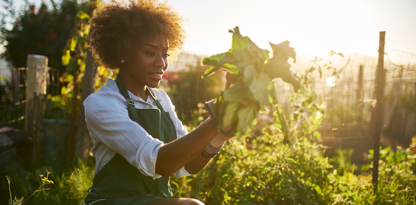 why medical medical docs are prescribing gardening comparatively than medicine