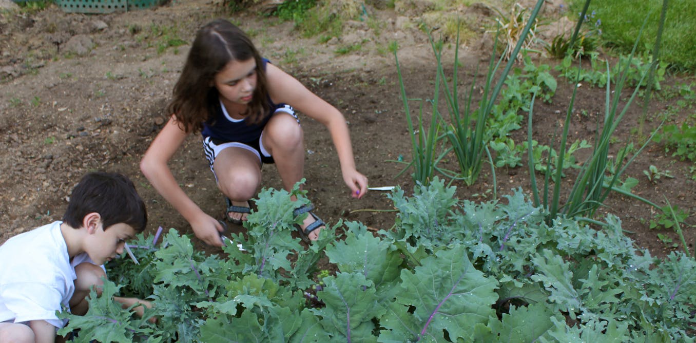 Do kids who develop kale eat kale?