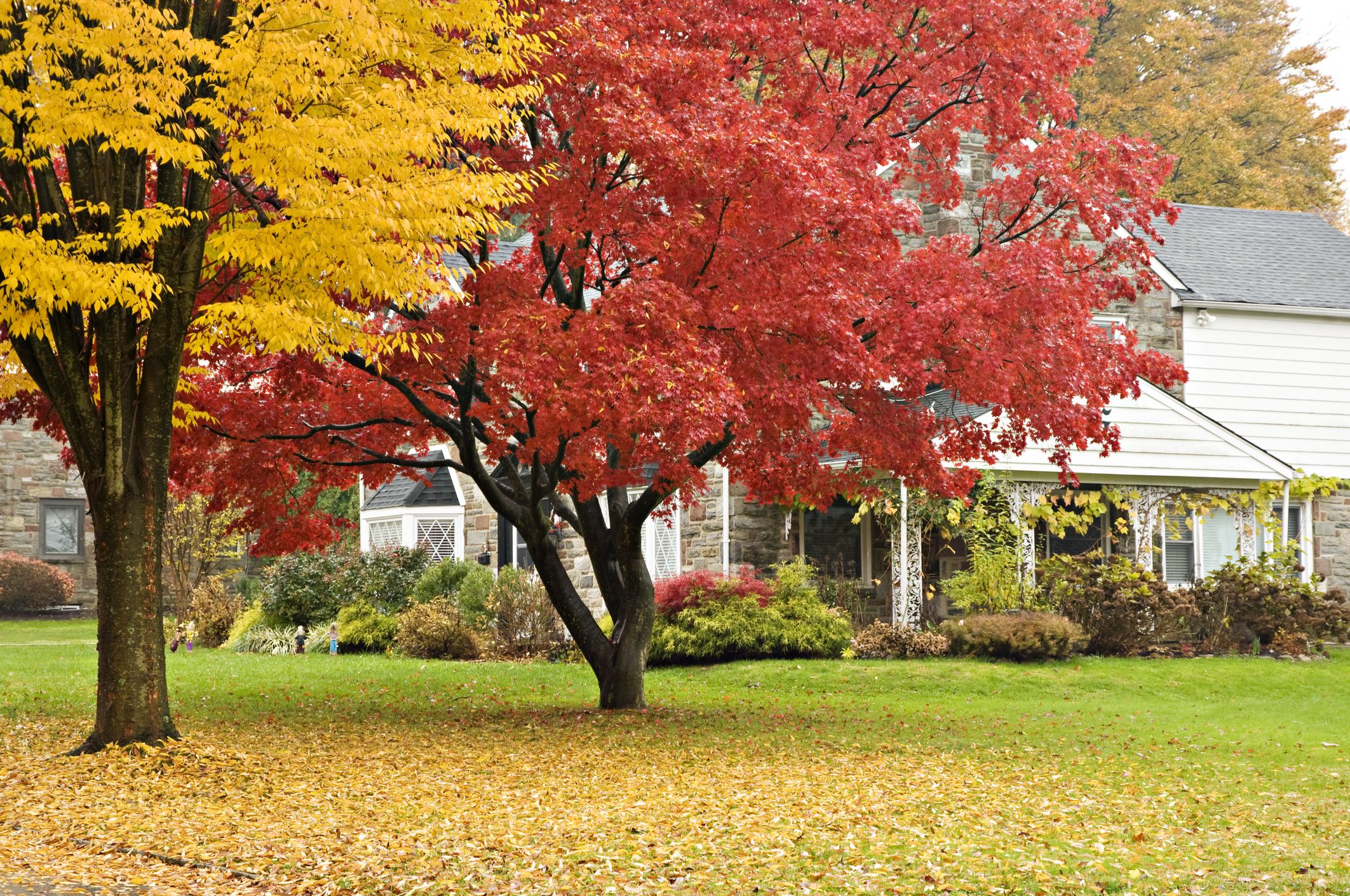 10 Vital Duties You Must Do Now to Put collectively Your Backyard for Fall