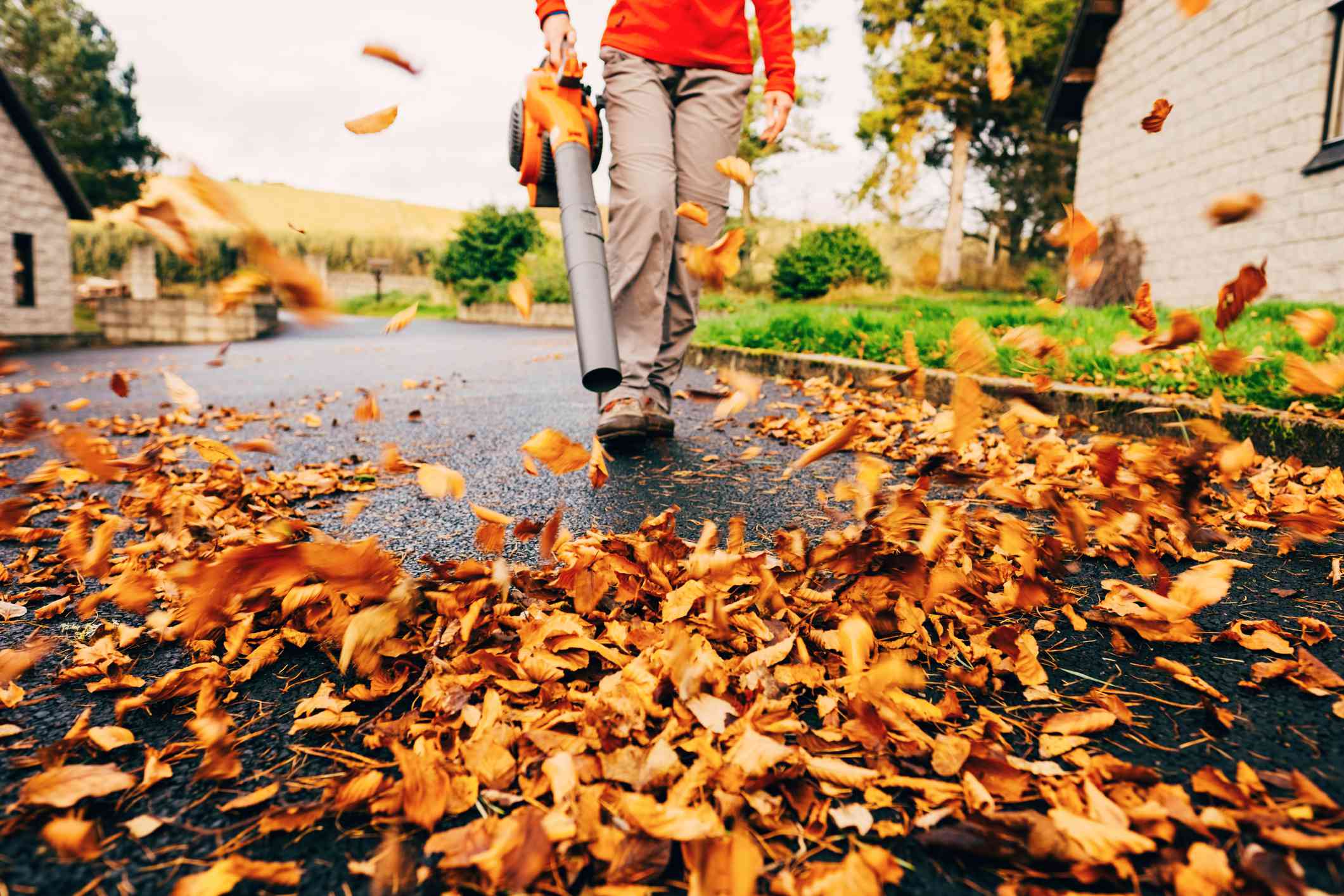 How Early Is Too Early to Use a Leaf Blower? Etiquette Specialists Weigh In