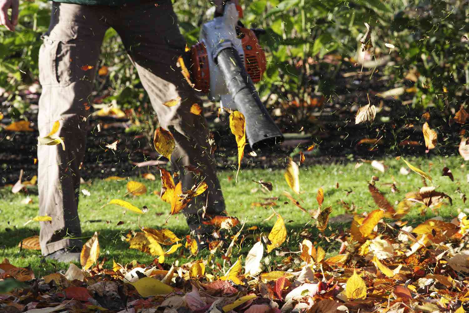 Must You Use a Rake or Leaf Blower? Specialists Share Which Is Greater